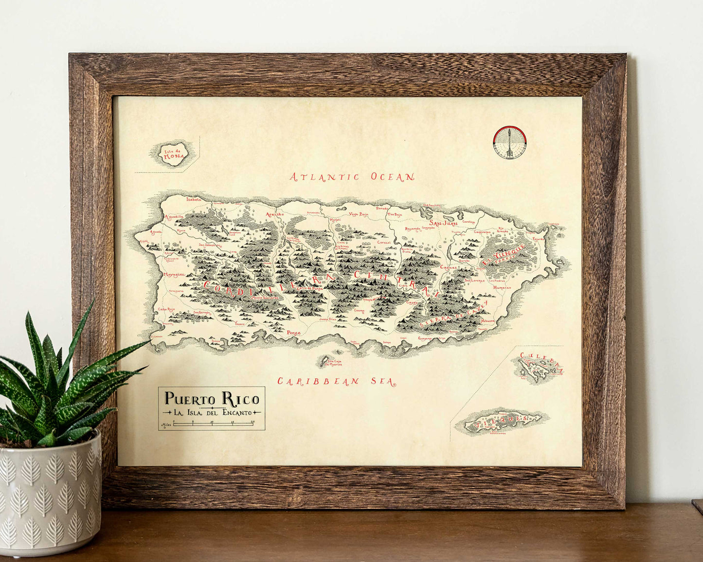 Puerto Rico Map **PRE ORDER**