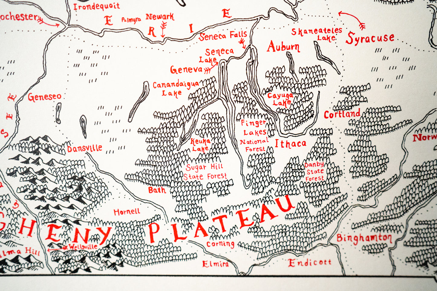 New York State Map