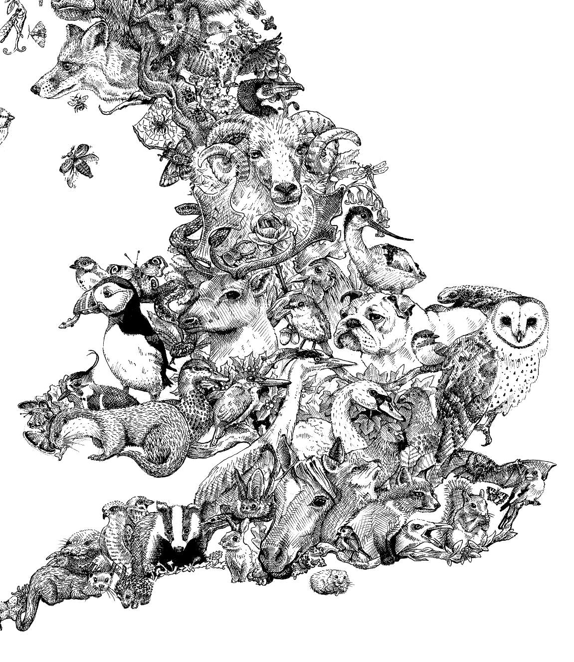 British Isles Wildlife Map