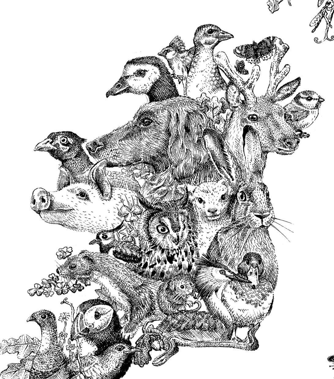 British Isles Wildlife Map