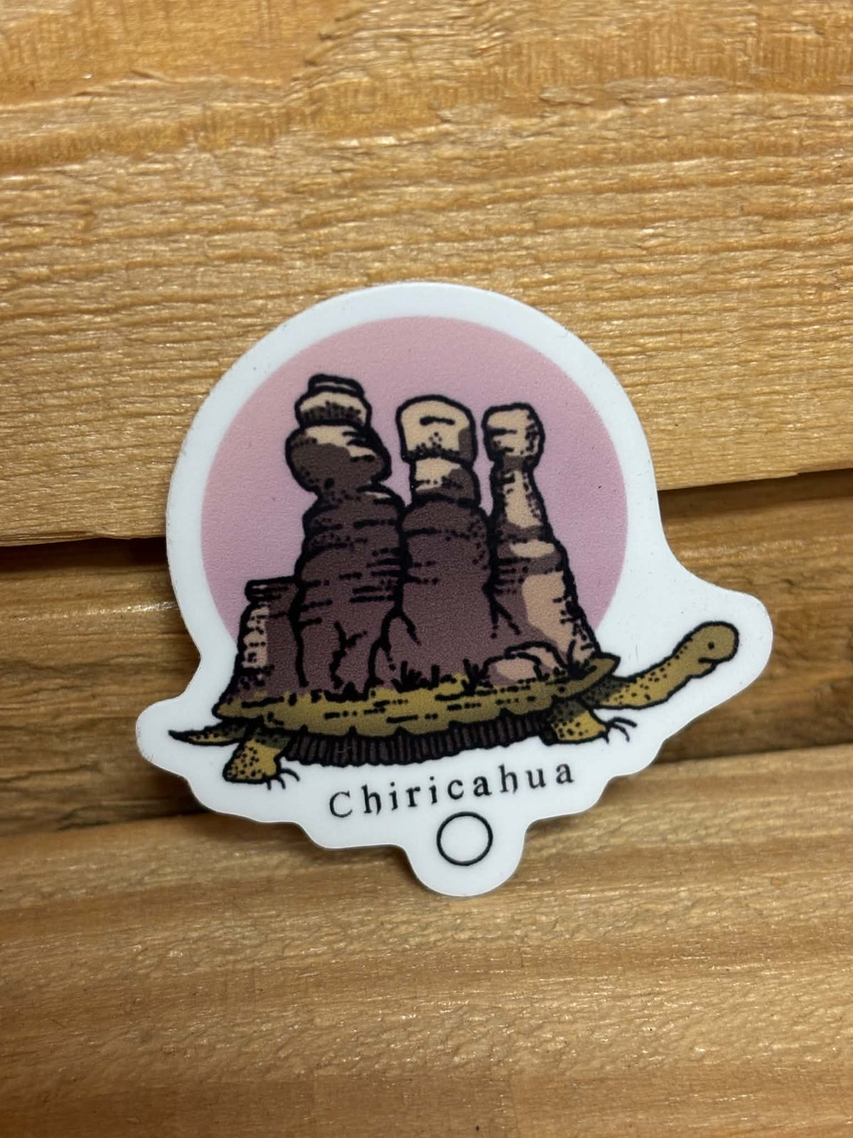 Chiricahua National Park Turtle Sticker