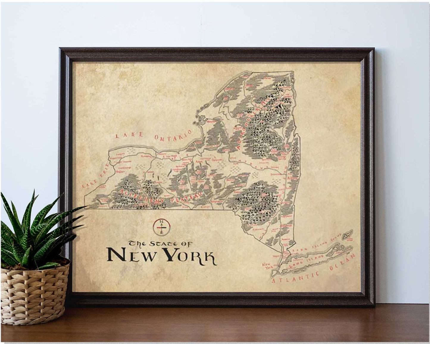 New York State Map